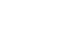 Pistol 17